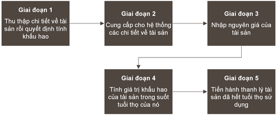 Phóng to hình ảnh